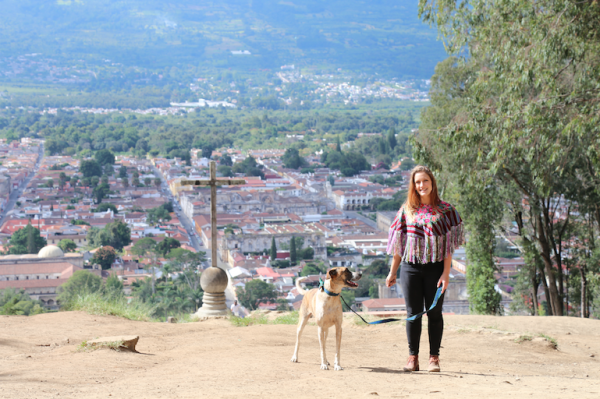 Retratos con mascotas